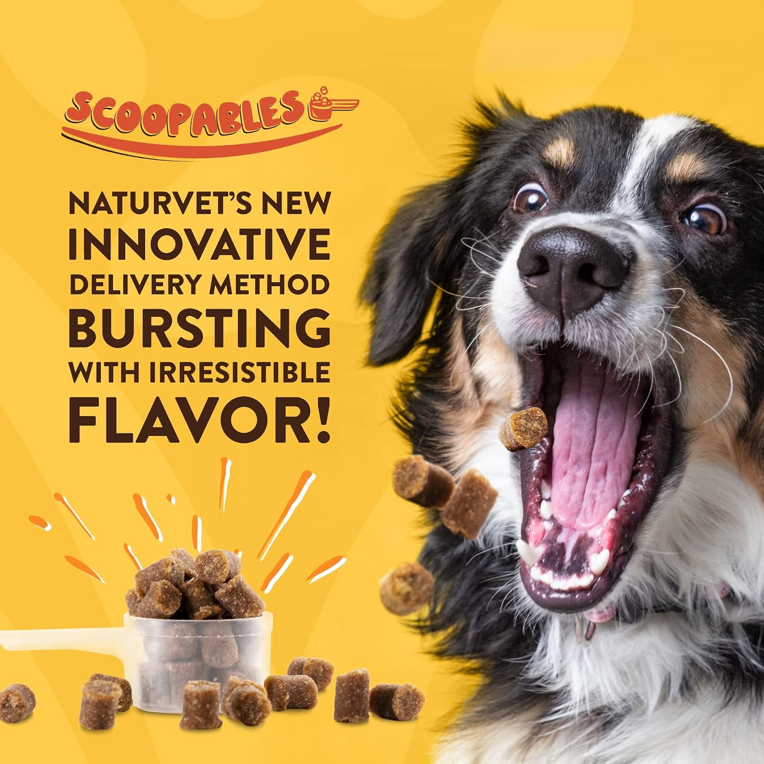 NaturVet Scoopables Omega-Gold Anchovy Oil & Salmon Supplement For Dogs and Cats - Supports Healthy Skin & Coat Plus DHA, EPA, Omega-3, & Omega-6 - Anchovy & Salmon Flavoured For Dog and Cat | 312g Bag - görsel 2