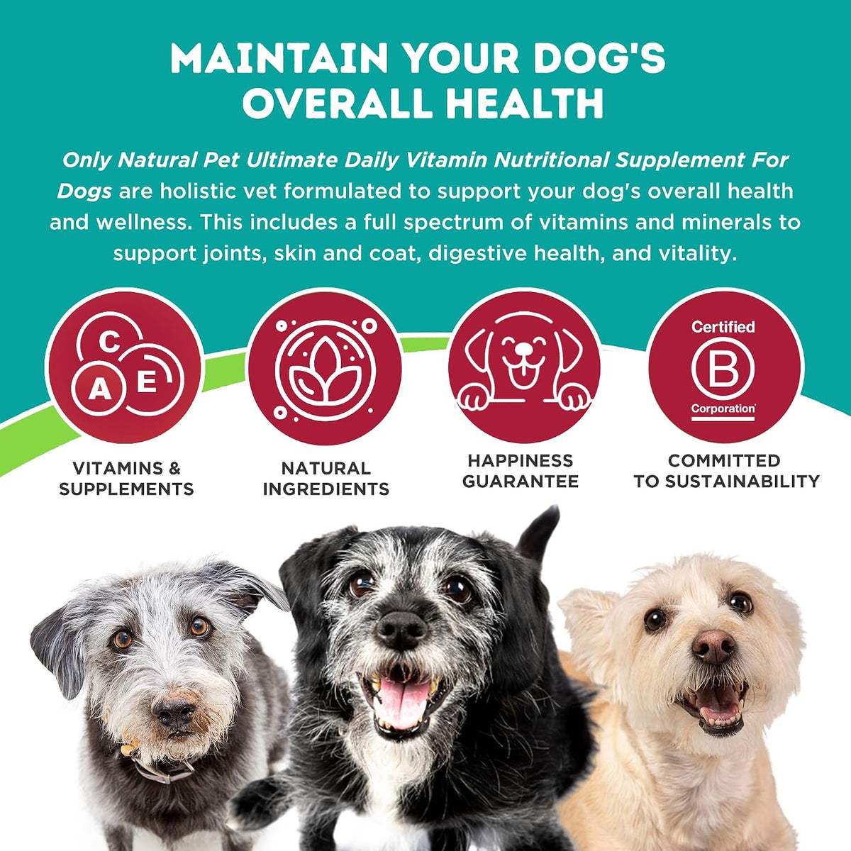 Only Natural Pet Ultimate Daily Vitamins - – Digestive Enzymes: Enhance nutrient breakdown and absorption, – Image 2