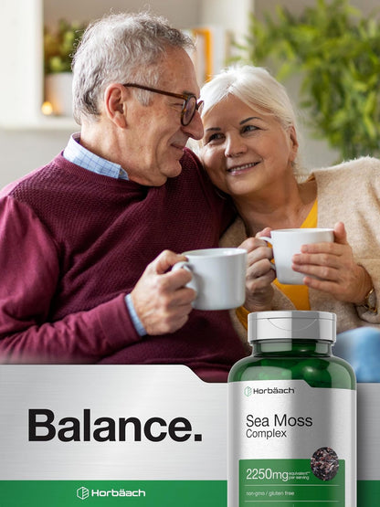 Horbäach Sea Moss Capsules | 120 Capsules | Complex Formula with Bladderwrack & Burdock Root | Non-GMO & Gluten-free Supplement