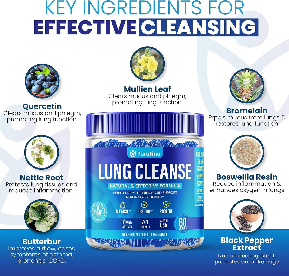 Purafina Lung Cleanse Gummies - 7-in-1 Respiratory and Lung Health Support with Organic Mullein Leaf Extract, Quercetin, Nettle Root, Boswellia, Bromelain - Non-GMO (60 Gummies) - görsel 2