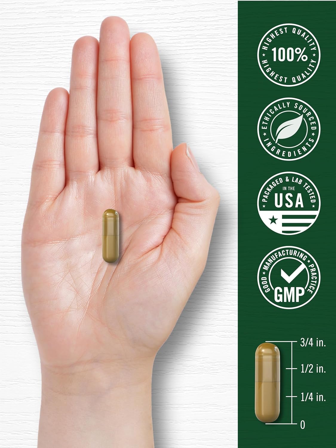 Carlyle Dandelion Root Extract | 300 Capsules | Herbal Supplement | Taraxacum Officinale | Non-GMO and Gluten-free - görsel 7