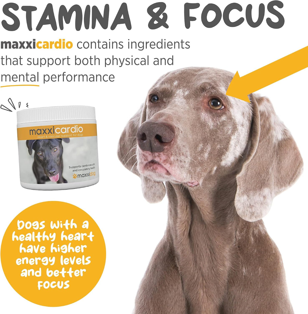 maxxicardio Heart Support for Dogs (Small Size) – Taurine + L-Carnitine + Hawthorn + Ginkgo – Helps Support Circulation, Energy & Stamina – Easy Mix Powder – Made in USA – 90g - görsel 4