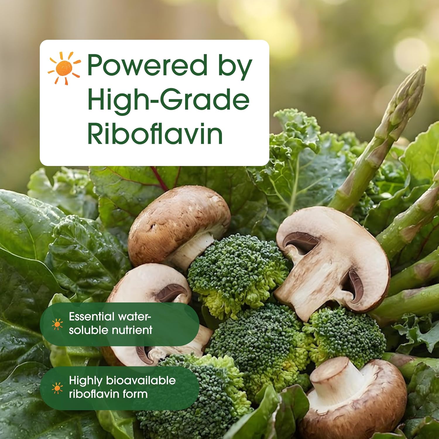 NatureBell Vitamin B2 (Riboflavin) 400mg - 240 Vegetarian Capsules - Energy & Cellular Health Supplement - görsel 6
