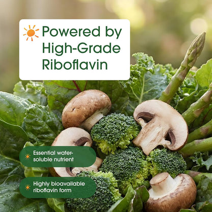 NatureBell Vitamin B2 (Riboflavin) 400mg - 240 Vegetarian Capsules - Energy & Cellular Health Supplement