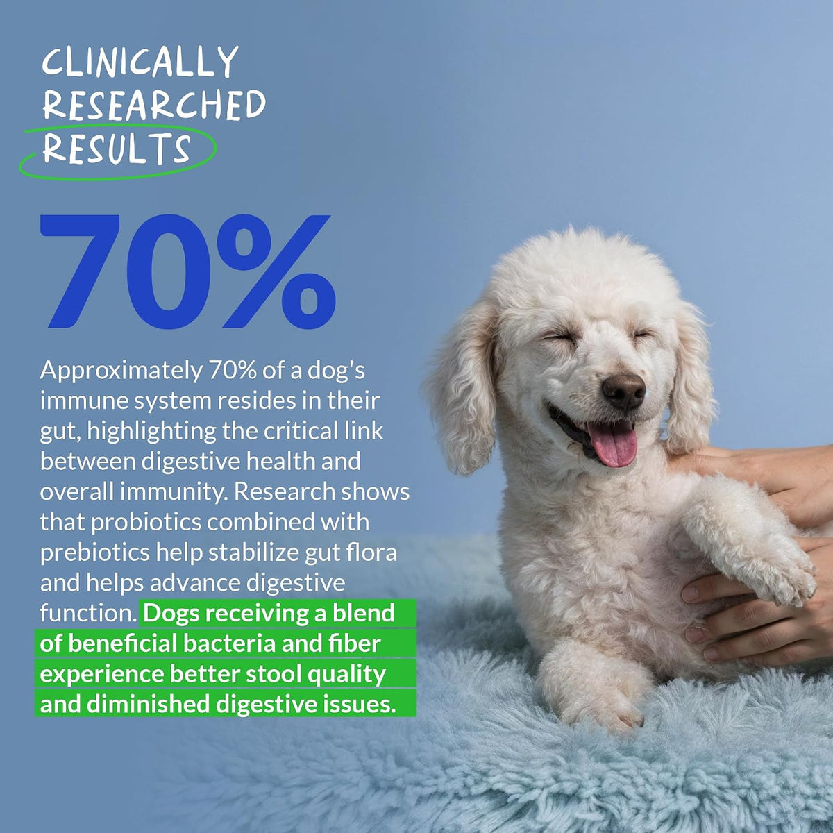 Probiotics for Dogs 90 Soft Chews – Digestive, Gut & Diarrhoea - görsel 4