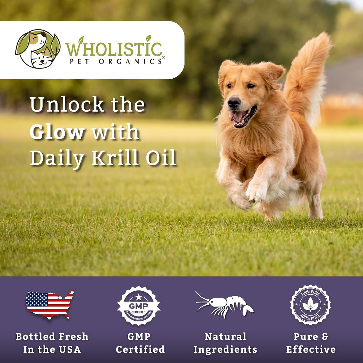 Wholistic Pet Organics Krill Oil for Dogs and Cats - Premium Antioxidant Support - 60 Soft Gels - görsel 7