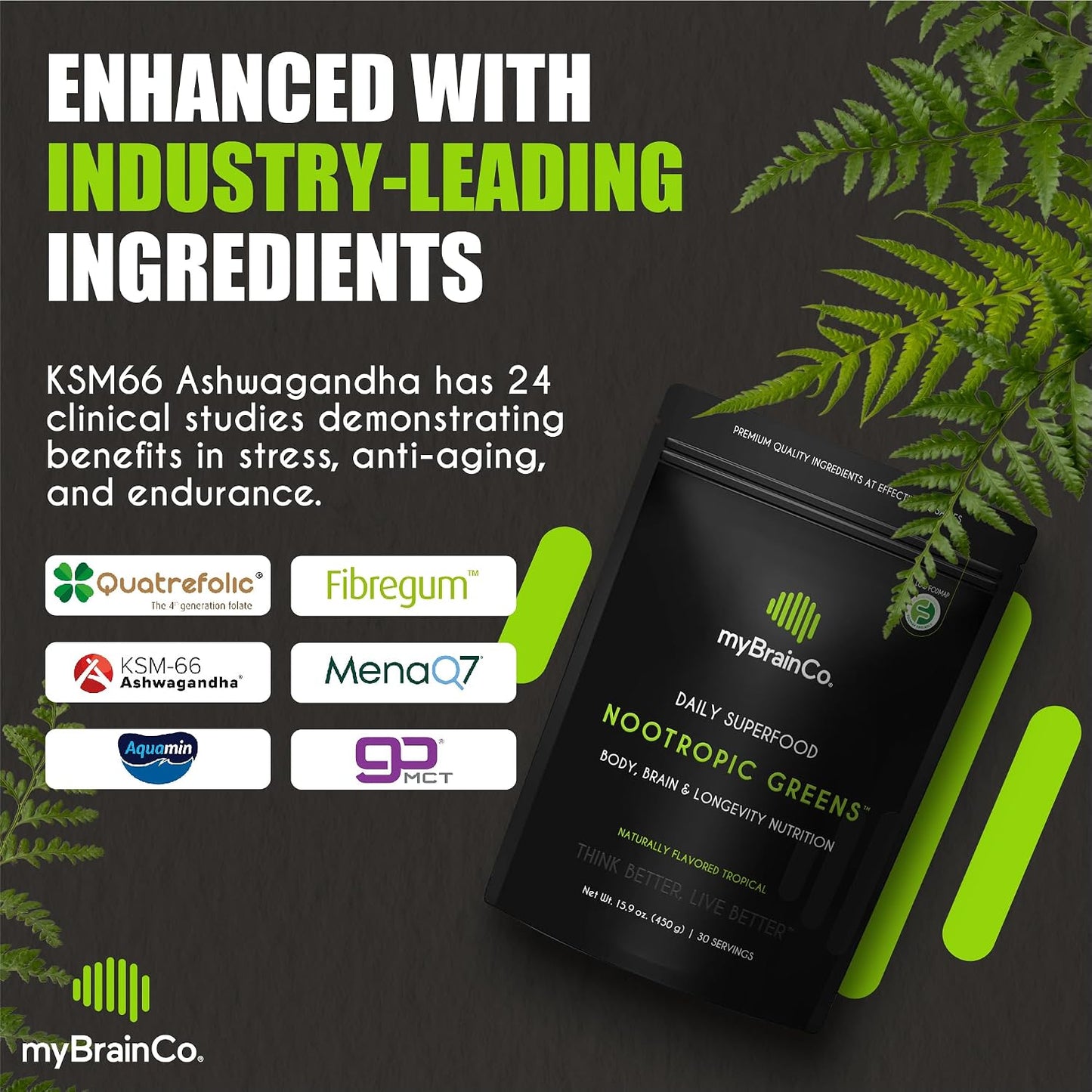 myBrainCo. Nootropic Greens - All-in-One Body, Brain & Longevity Supplement with Organic Greens, Alpha-GPC, Lion's Mane & More (225 g) - görsel 5