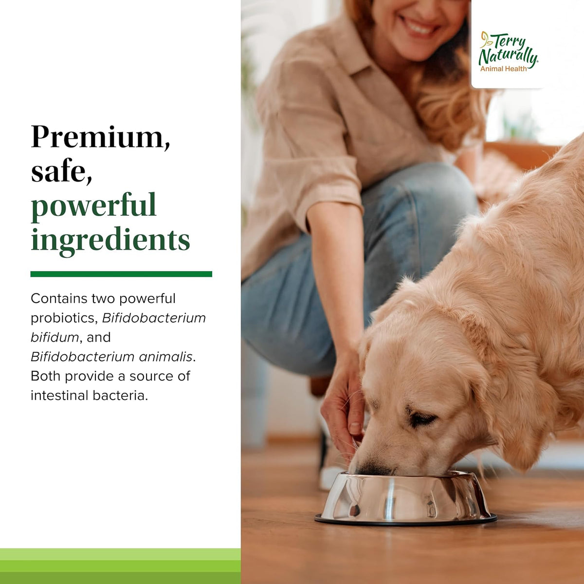 Terry Naturally Probiotic Daily - Balance Intestinal Microflora with Digestive Health Tablets - Dog Probiotic Supplement for Gut Health - Canine Probiotic for Bowel Support - 60 Chewable Tablets - görsel 5