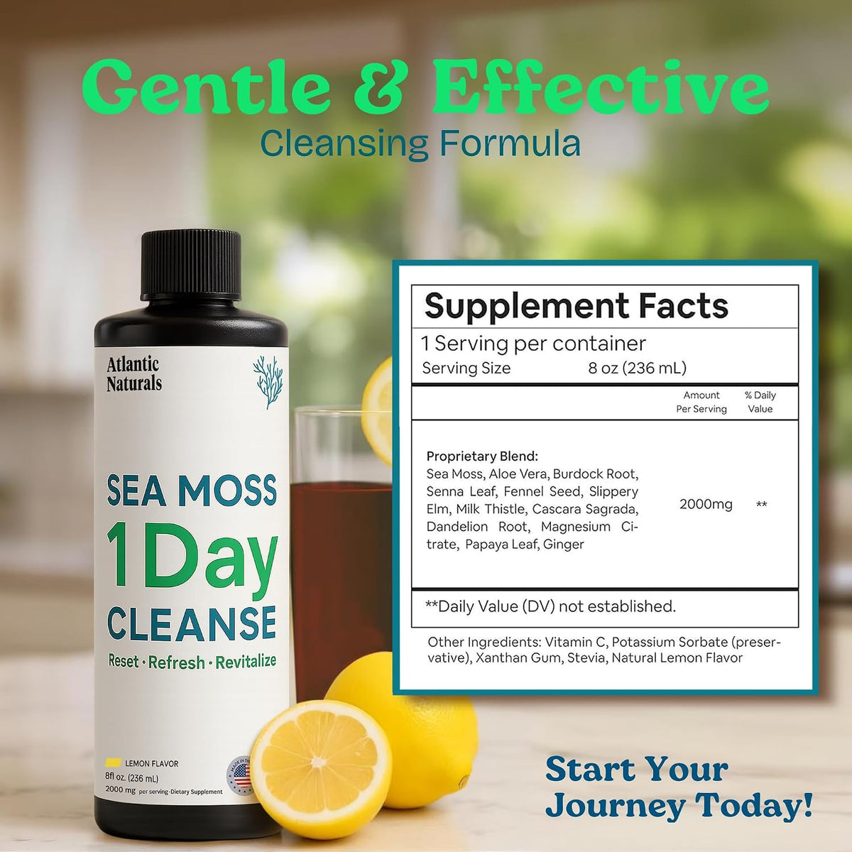 Atlantic Naturals 1 Day Colon Cleanse Detox Drink – Sea Moss Supplement, Gut Health, Lemon Flavour, 237 ml - görsel 3