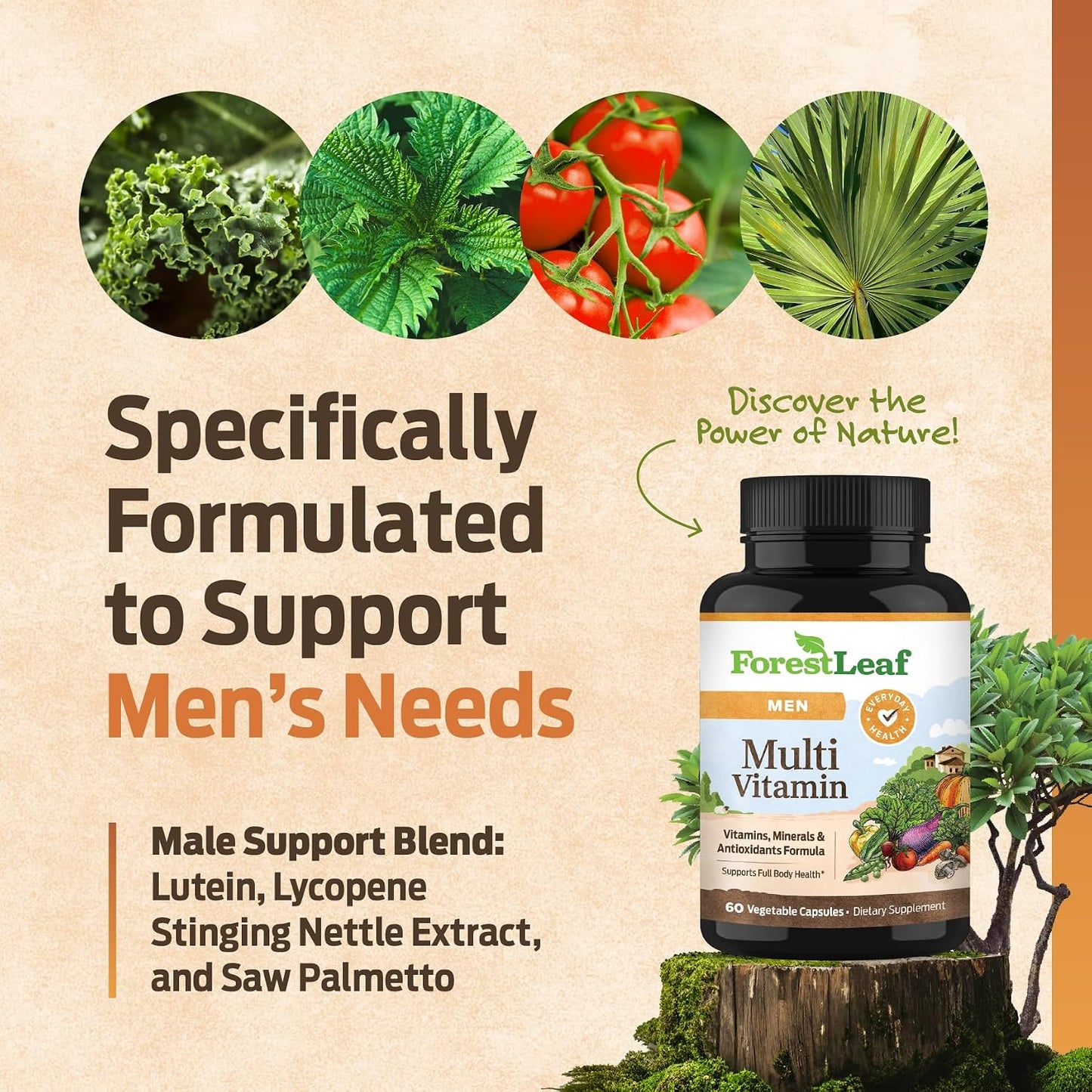 ForestLeaf Daily Multivitamin for Men – Men's Multivitamins & Multiminerals Supplement | 60 Veg Capsules - görsel 3