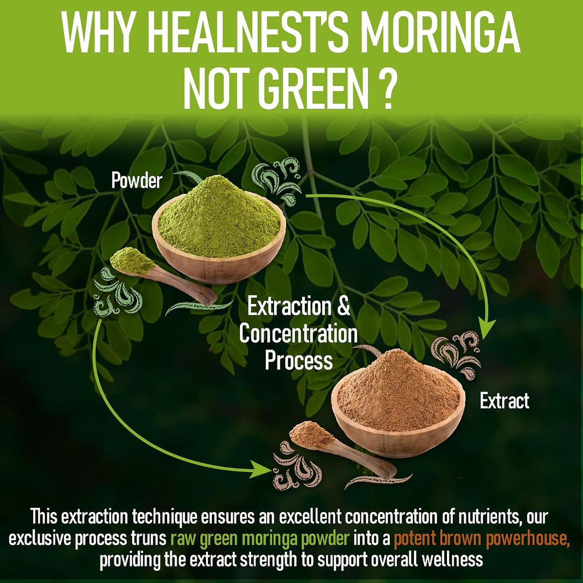 Pure Moringa Extract Capsules – 20:1 Potent Formula – Vegan Superfood Supplement – 120 Capsules - görsel 3