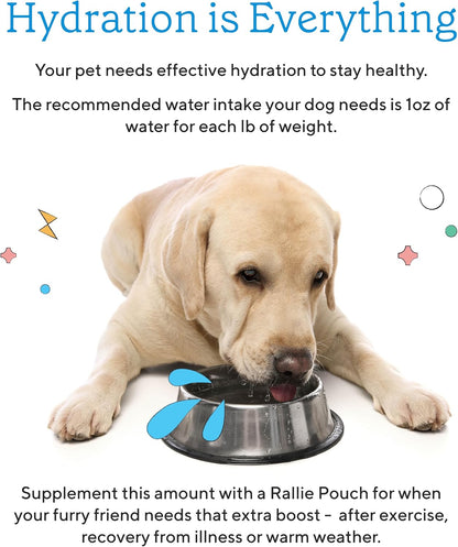 Rallie Beef Flavoured Hydrogen Water for Dogs with Electrolytes, Glucosamine, and B Vitamins – 500ml (6 Pack)