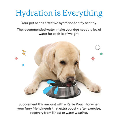 Rallie Apple Bacon Flavoured Hydrogen Water for Dogs with Electrolytes Glucosamine and B Vitamins, 500ml 6 Pack