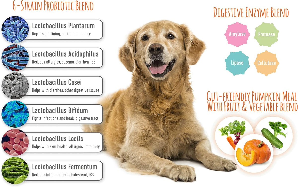 Extend Probiotics for Dogs - Digestive Health, Immune & Allergy Support - 100 Soft Chews - görsel 2