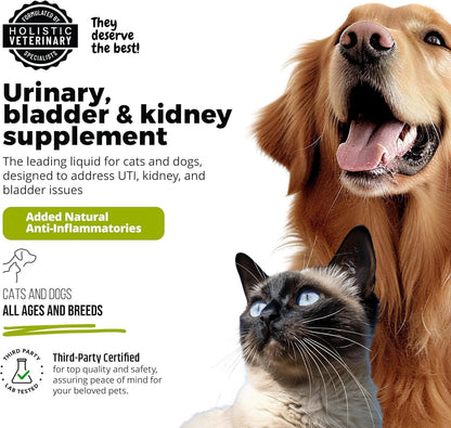 UroMAXX Urinary Tract Support for Dogs and Cats – Liquid Supplement with Cranberry & Glucosamine, Salmon Flavour, 177 ml Bottle (Pack of 2)