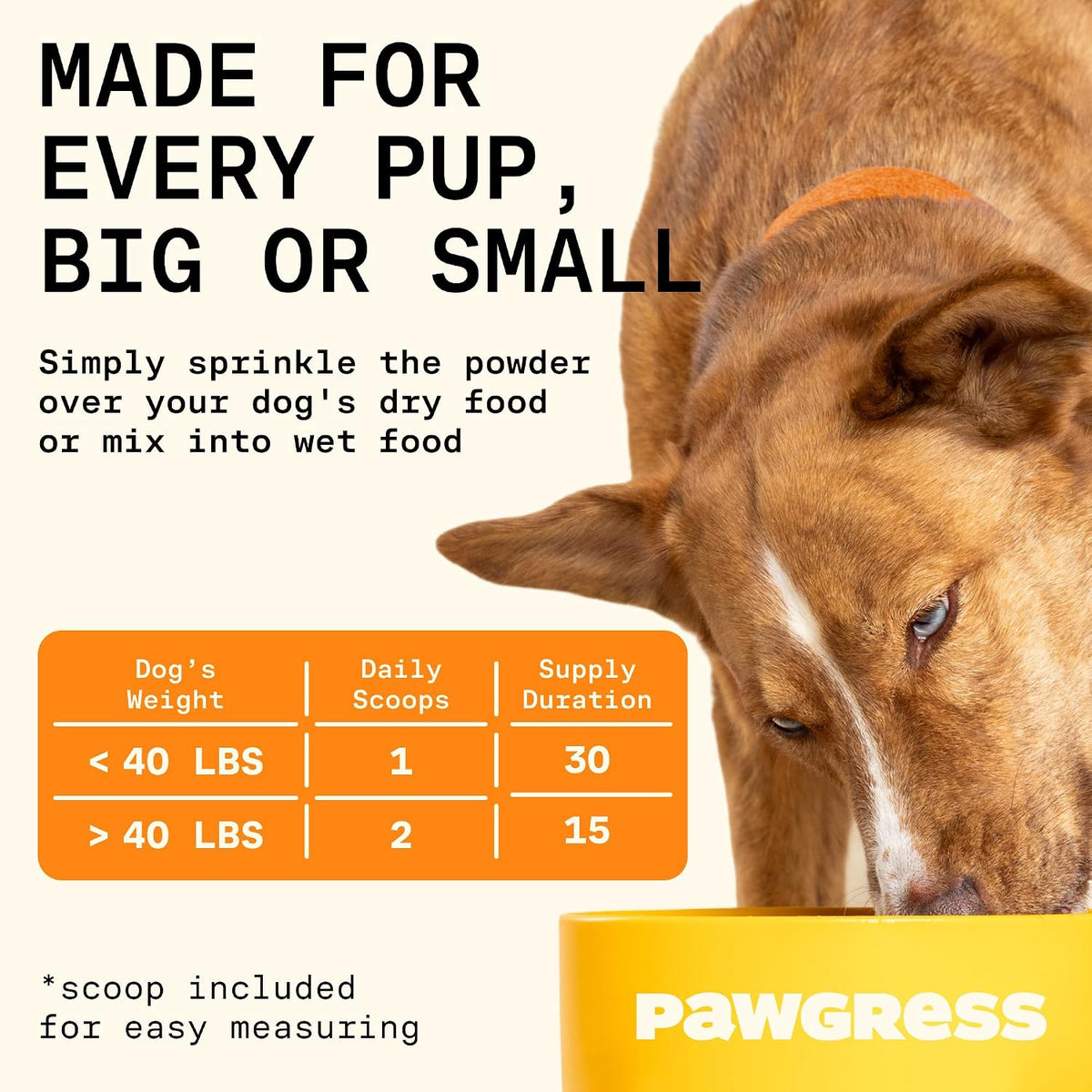 Pawgress 5-in-1 Dog Probiotic Powder – Natural Gut Health Support with Prebiotics, Postbiotics & Enzymes – Made in the USA – 30 Scoops - görsel 6