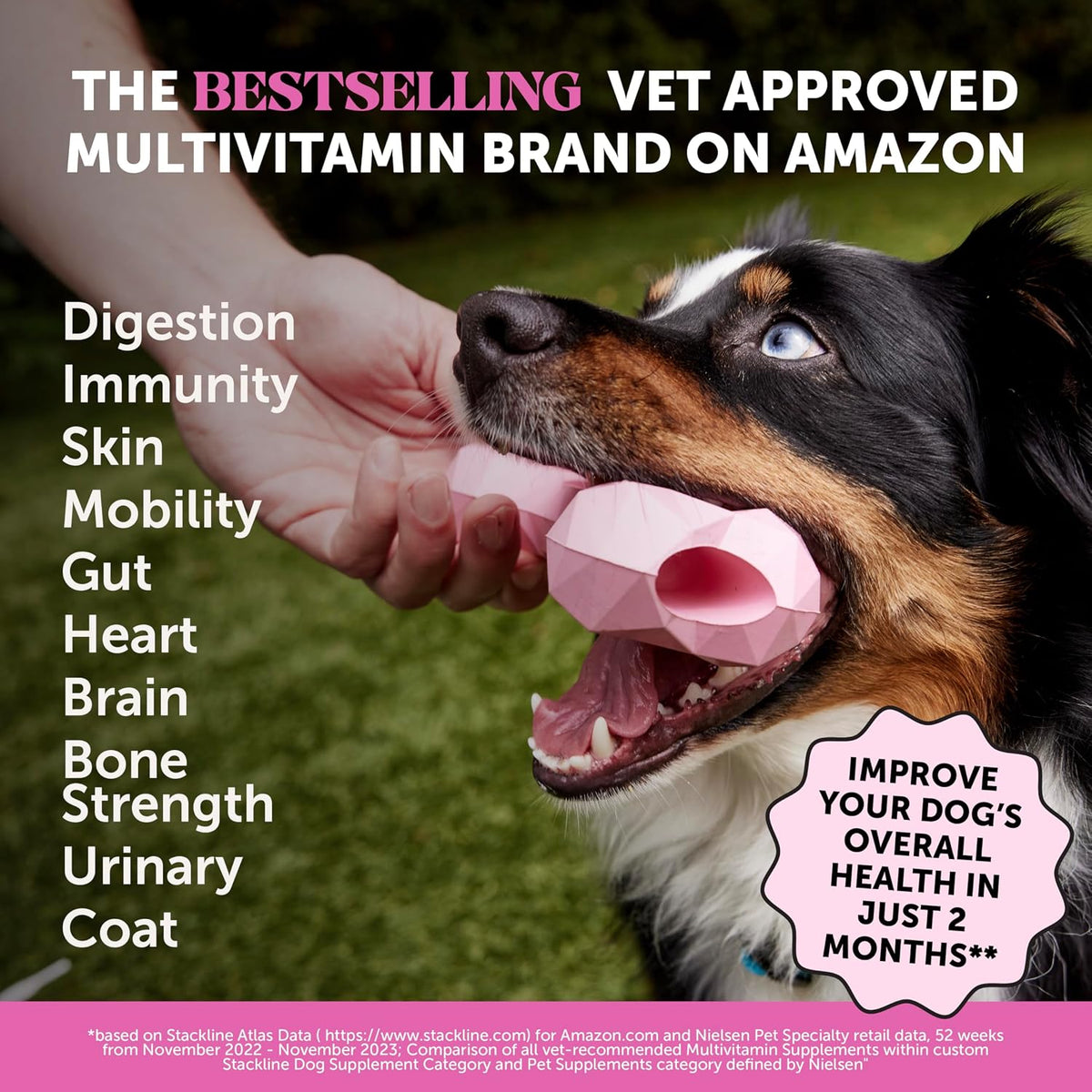 Pet Honesty 10-in-1 Dog Multivitamin with Glucosamine and Probiotics - 90 Chicken Chews - görsel 2