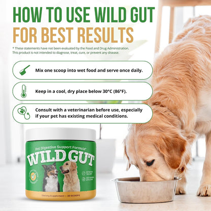 Wild Gut - Natural Probiotic Supplement for Pets | Supports Digestive Health & Gut Microbiome | 8 Probiotic Strains | 3 Bottles