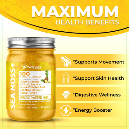 WELLNESS LABSRX Irish Sea Moss Gel - Wildcrafted Superfood Pineapple Flavour - 283g