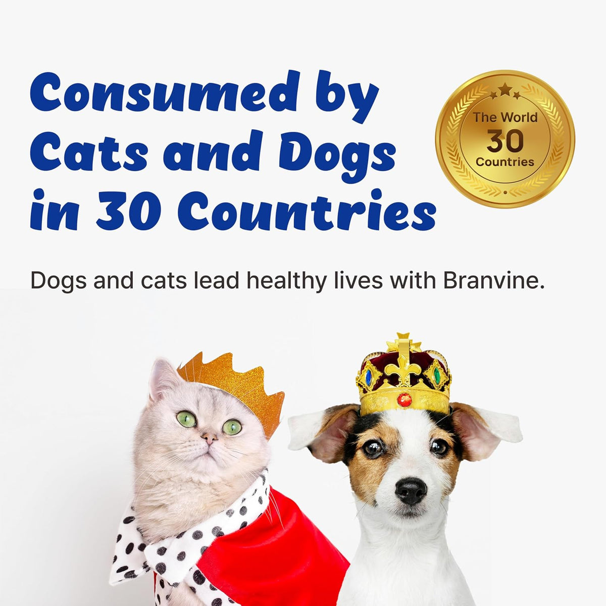 Branvine Respiratory Guardian for Dogs - Supports Lung, Nasal, Bronchial & Tracheal Health (135g) - görsel 8