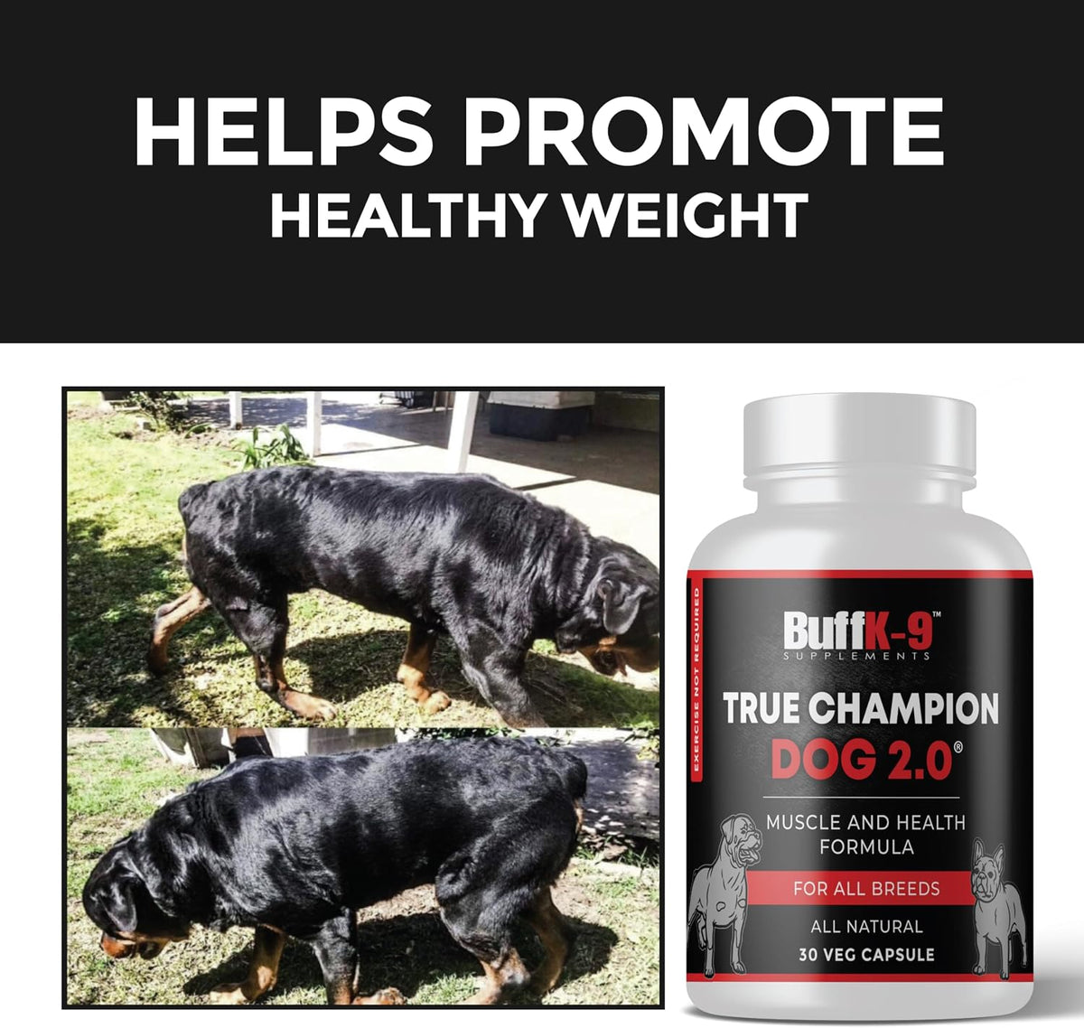 True Champ 2.0 Muscle Support Supplement for Dogs – Canine Wellness Capsules (30 Veg Capsules) - görsel 7