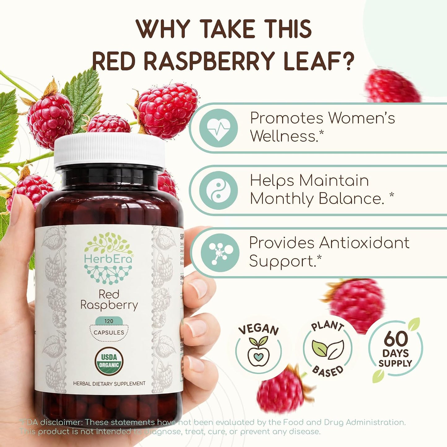HerbEra USDA Organic Red Raspberry Leaf Capsules – Women's Wellness Support (120 Capsules) - görsel 2