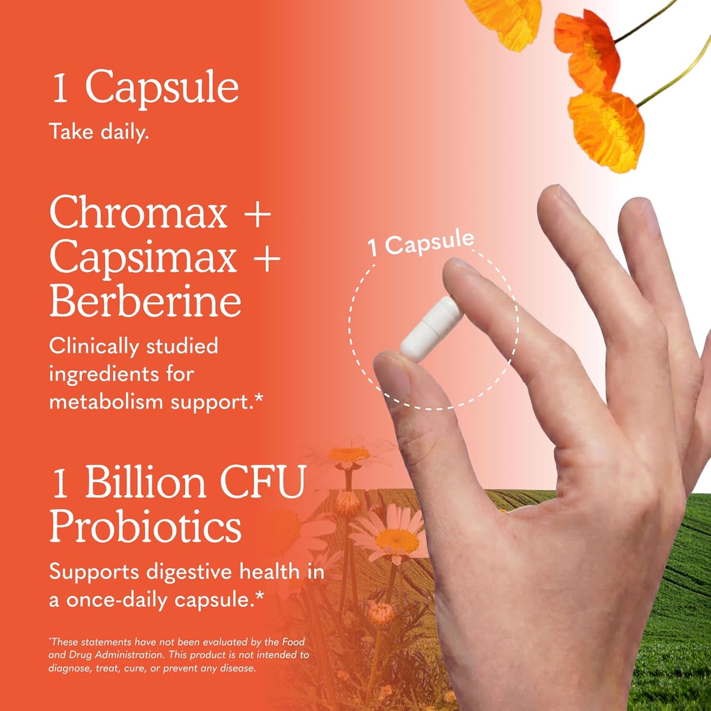 Garden of Life Multivitamin Liposomal Metabolism support - 30 Capsules - görsel 5