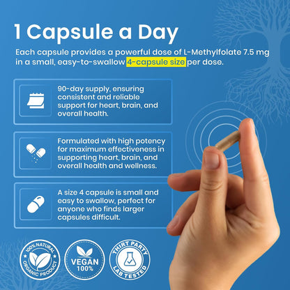 LifeStrength L-Methylfolate 7.5mg – 90 Capsules, Optimised & Highly Bioactive Methyl Folate Supplement