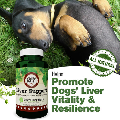 Dog Liver Support - Natural Herbal Dog Vitamins with Milk Thistle Extract, Turmeric, Chamomile & More - Daily Canine Wellness for Liver Support - 90 Capsules