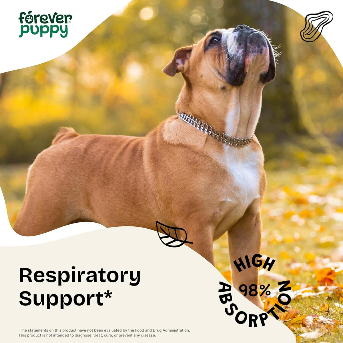 Forever Puppy Liquorice Root Tincture for Dogs - Respiratory Health Supplement (60 ml) - görsel 2