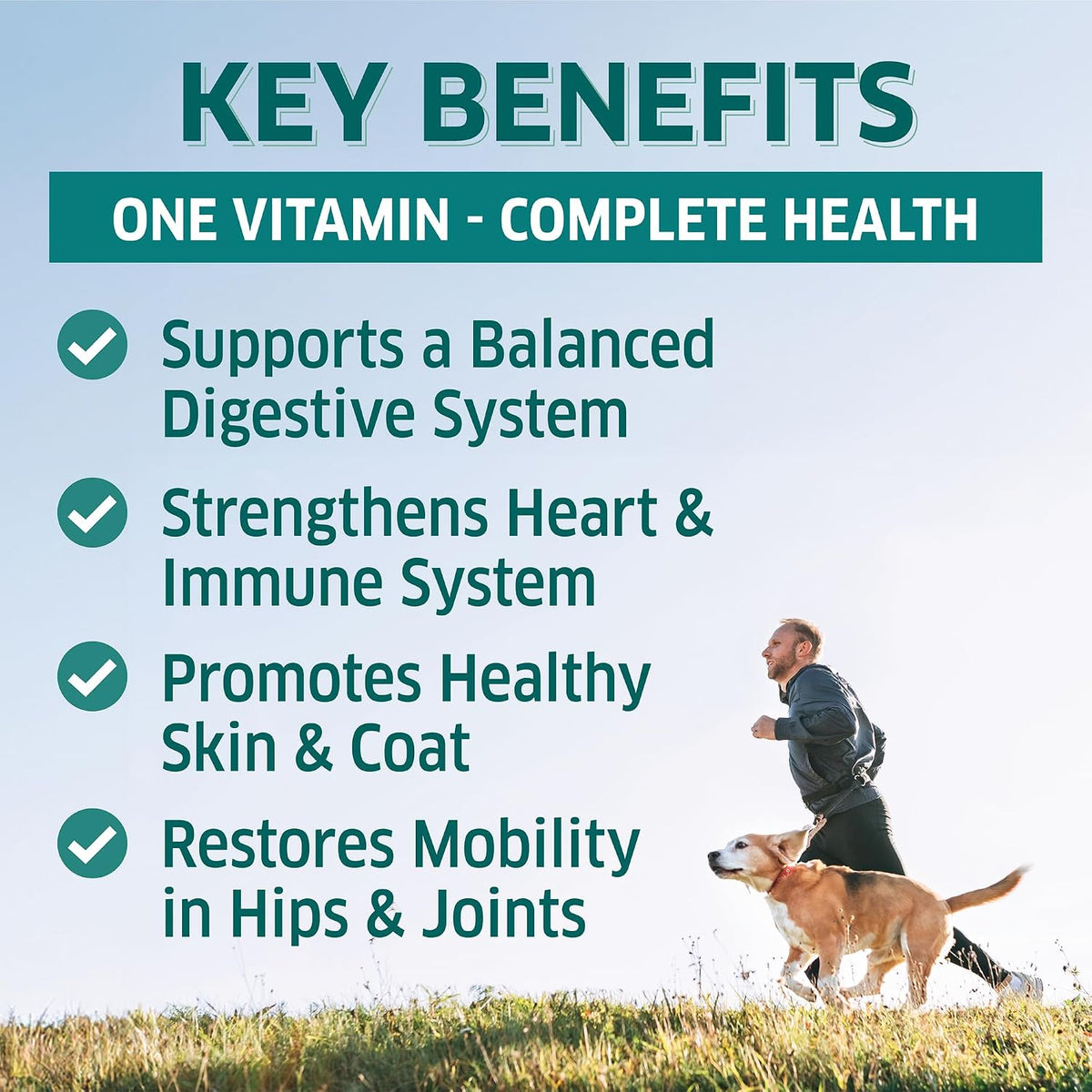 fur belly Dog Multivitamin – 9-in-1 Supplement with Probiotics & Enzymes – 120 Soft Chews - görsel 2