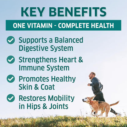 fur belly Dog Multivitamin – 9-in-1 Supplement with Probiotics & Enzymes – 120 Soft Chews