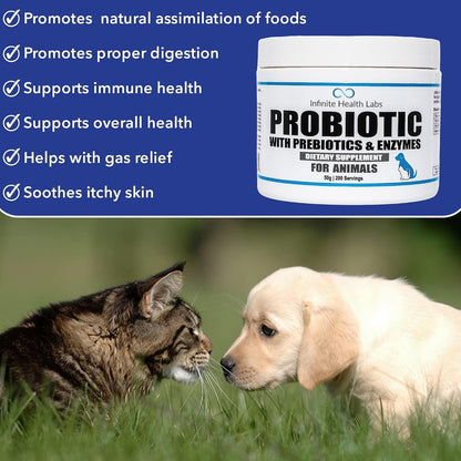 Probiotics for Dogs and Cats – Vet Formulated Prebiotic & Enzyme Powder – 200 Servings (50 g)