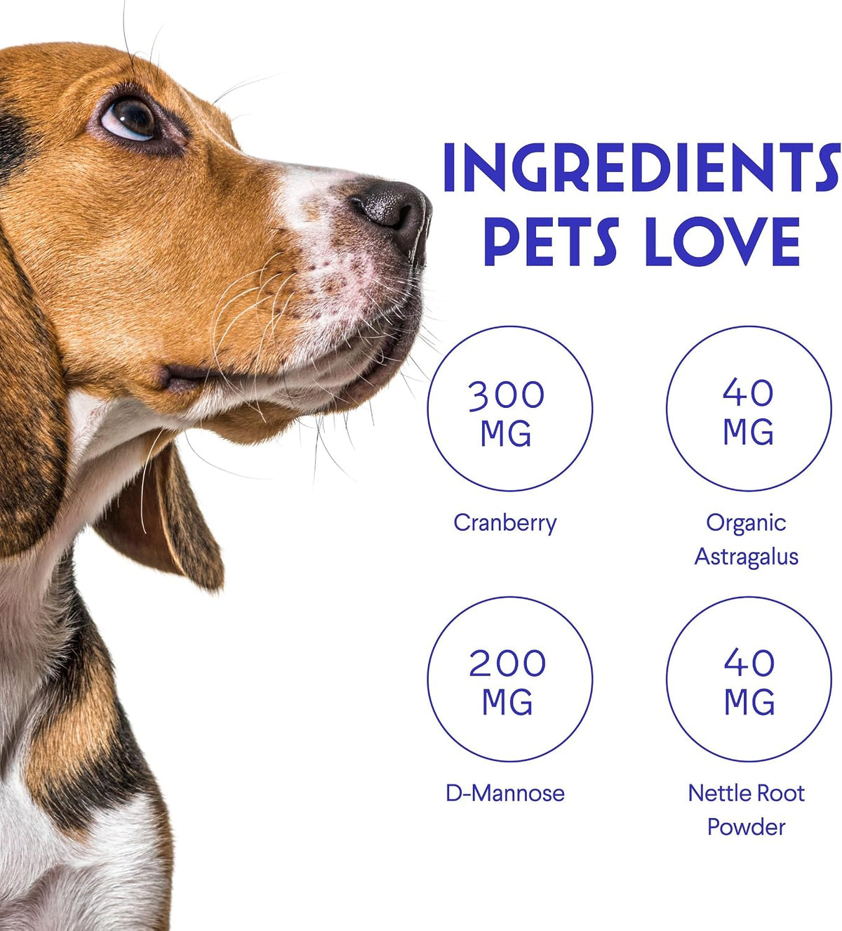 Wonder Paws Premium Kidney Support for Dogs – Cranberry Supplement – Liquid 60ml - görsel 5