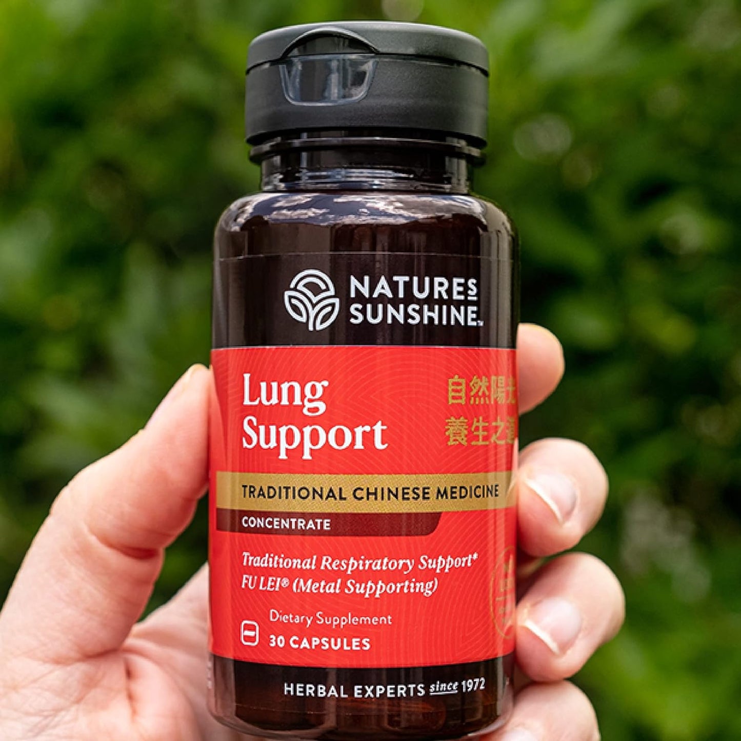 Nature's Sunshine Lung Support Chinese TCM Concentrate - 30 Capsules - görsel 2