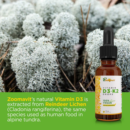 Vegan Liquid Drops Vitamin D3 K2 (MK-7) - Plant-Based with Coconut Oil for Improved Absorption - 1000 IU D3 & 200 mcg K2 per Serving