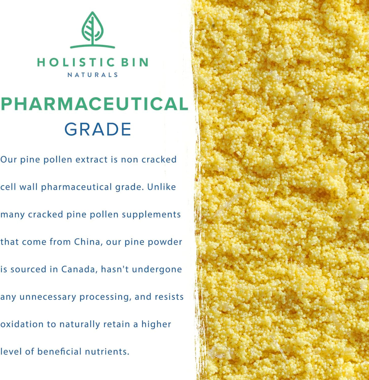 Holistic Bin Pine Pollen Powder – Wild Harvested Canadian Pine Pollen, 20 g - görsel 3