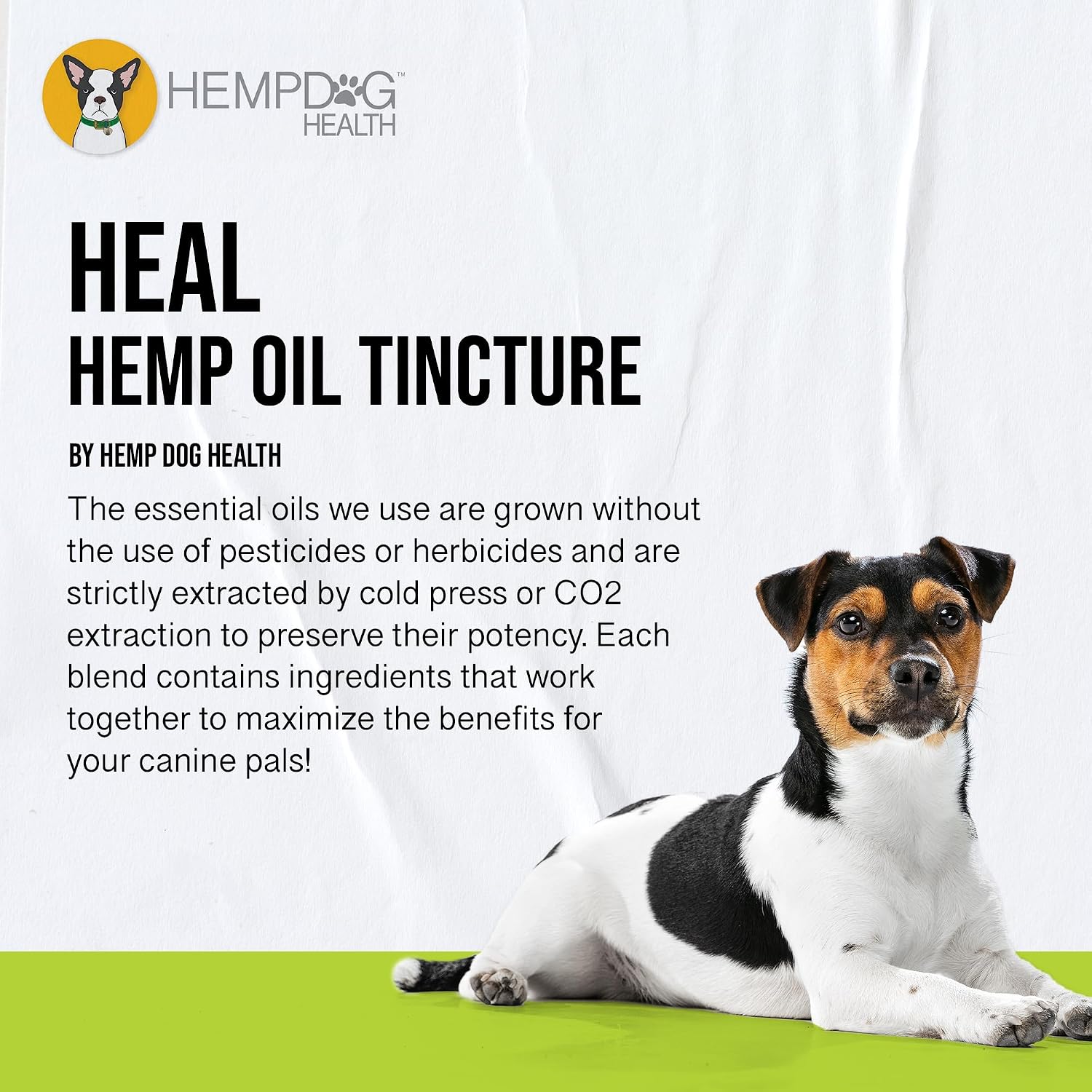 HEAL Pet Hemp Oil for Dogs – Immune & Neurological Support - görsel 3