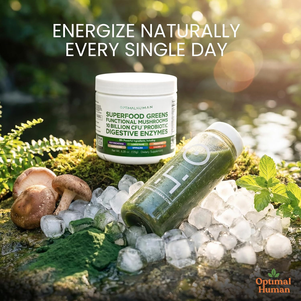 Optimum Human Superfood Greens Powder – 90+ Ingredient Blend with Lion’s Mane, Ashwagandha & Turmeric – Non-GMO, Soya-Free, Mushroom Supplements for Women – 178 g - görsel 7