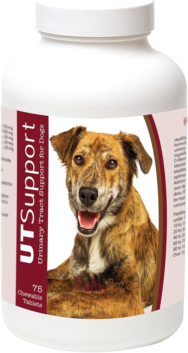 Healthy Breeds Plott Cranberry Chewables - Urinary Tract Support for Dogs - 75 Count - görsel 1
