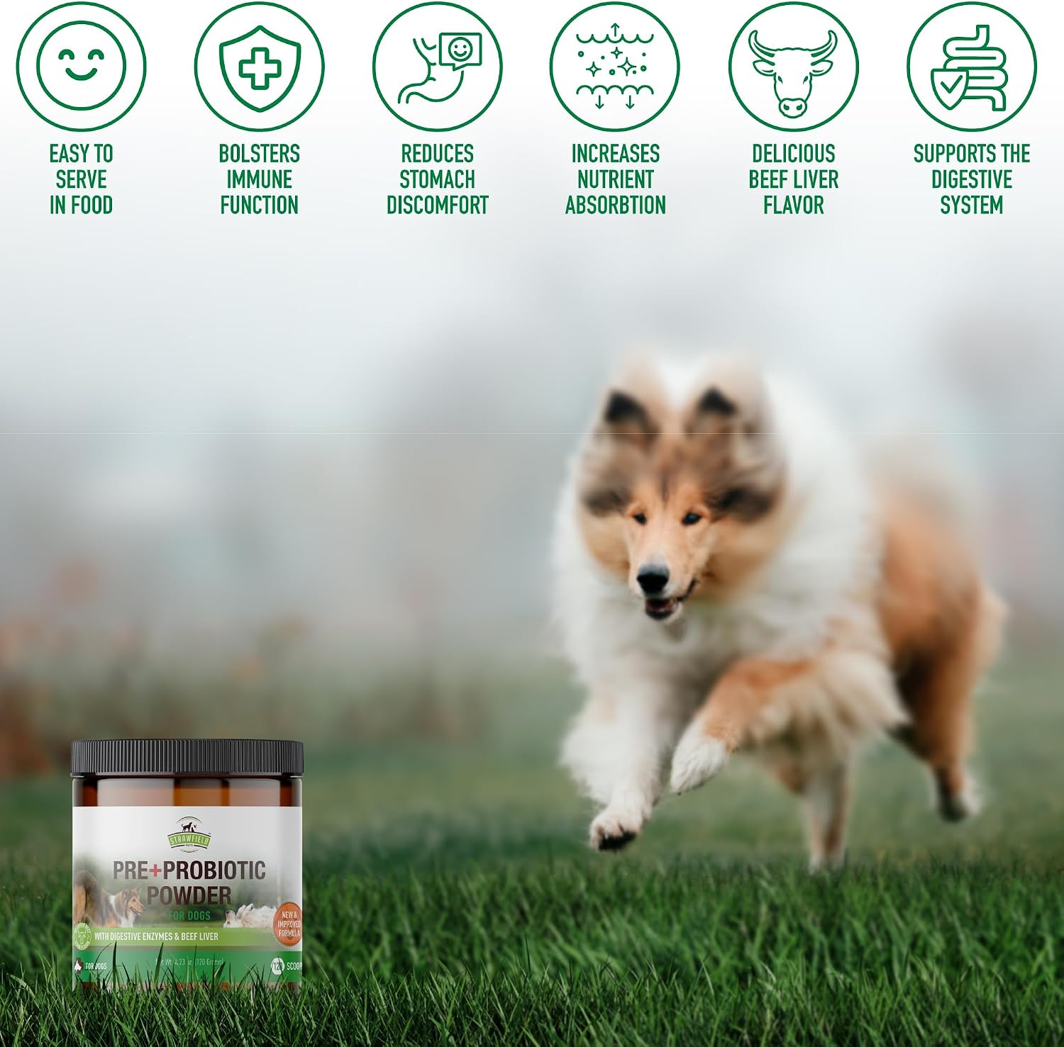 Strawfield Pets Pre + Probiotic Powder for Dogs with Digestive Enzymes – Natural Beef Liver Flavour, 120 Scoops - görsel 8