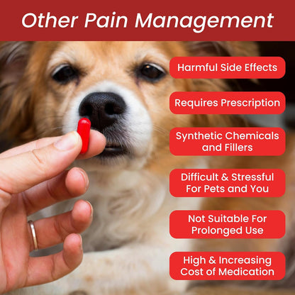 HerbAprin - Herbal Joint Support for Dogs, Organic Herb Blend for Arthritis, Aches, Pains and Mobility - 85g (90 Servings)