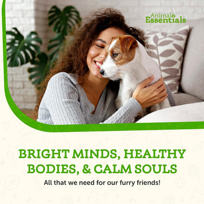 Focus Lion's Mane Mushroom Supplement for Dogs & Cats