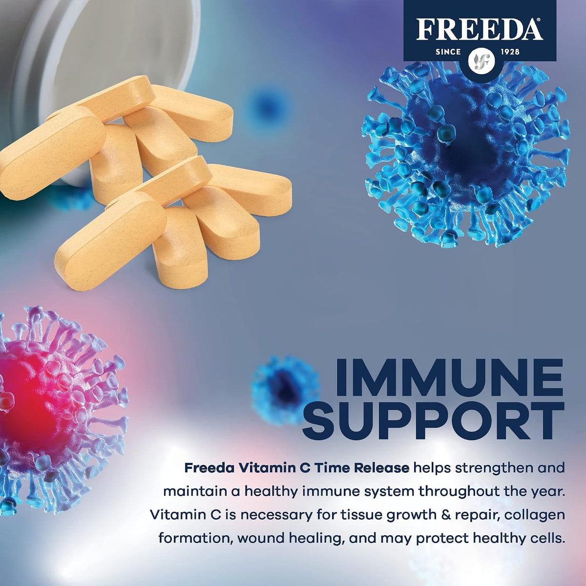 FREEDA Timed Release Vitamin C 1000mg – Slow-Release Tablets (100 Tablets) - görsel 5