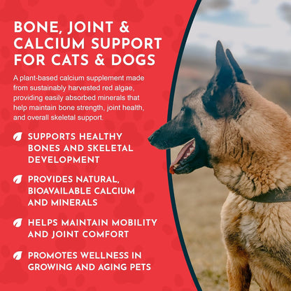 Sea-Cal Pure Seaweed Calcium Powder for Dogs – High digestibility – requires smaller serving sizes for effective – Image 6