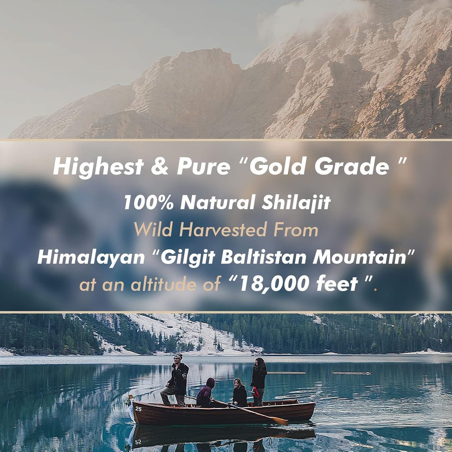Hima Shilajatu Shilajit Purest Himalayan Organic Shilajit Resin - Gold Grade - görsel 8
