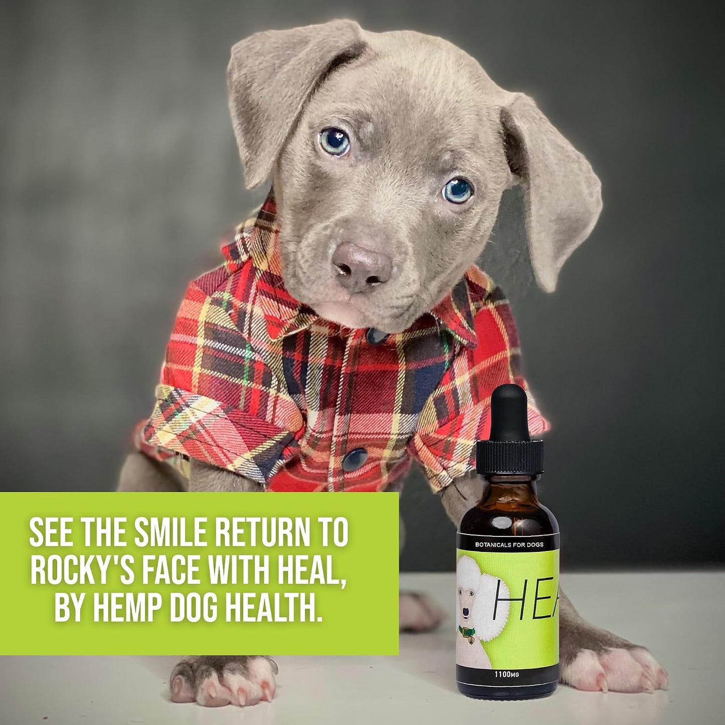 HEAL Pet Hemp Oil for Dogs – Immune & Neurological Support - görsel 6