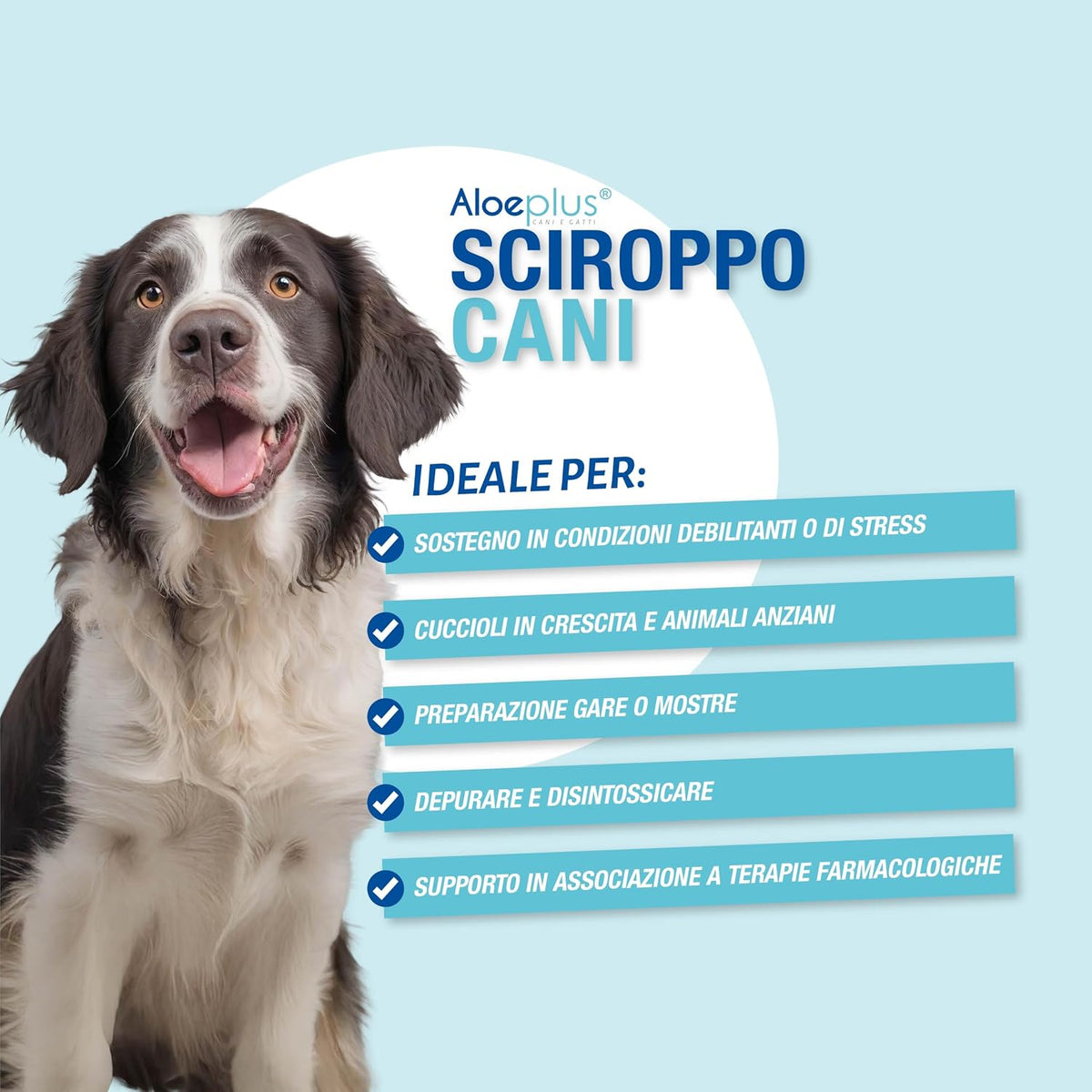 Aloeplus Dogs Syrup 250ml – Energy-Boosting, Detoxifying Complementary Food with Organic Aloe Arborescens - görsel 3