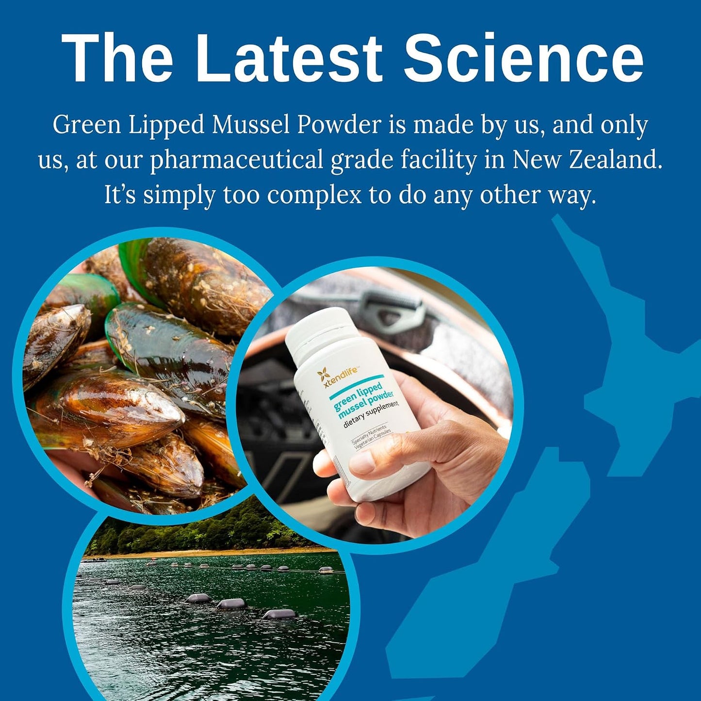 Xtend-Life Green Lipped Mussel Powder - Extra Strength 2400mg for Joint Health & Mobility Support, 120 Capsules - görsel 5