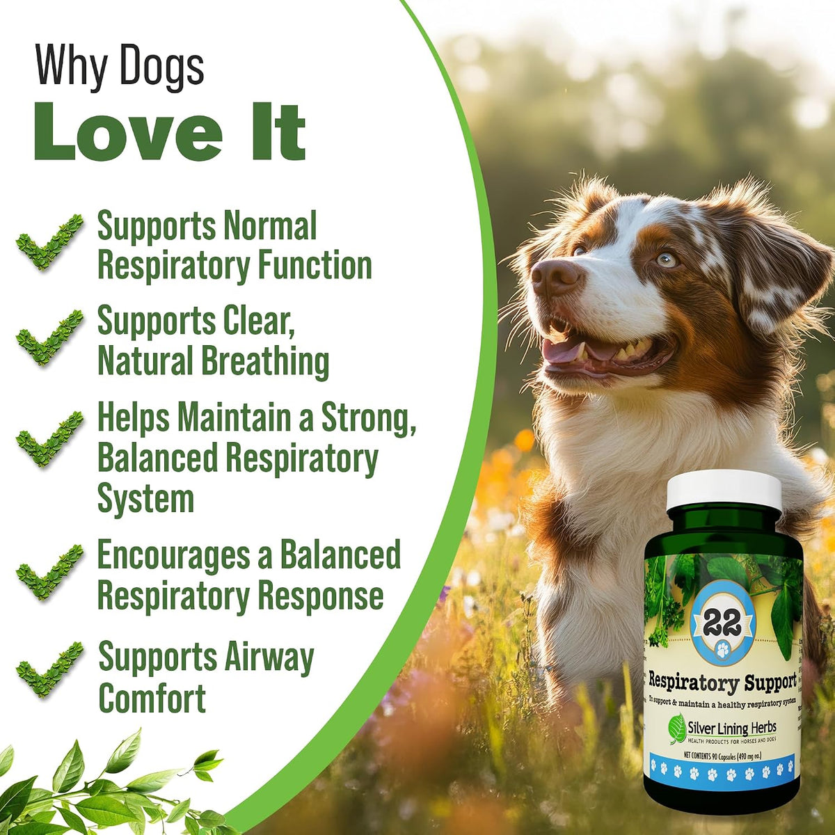 Silver Lining Herbs Dog Respiratory Support Capsules – Herbal Blend for Clear Breathing and Lung Health (90 Capsules) - görsel 2